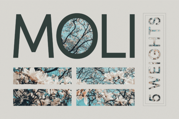 Moli Font - Featured Image