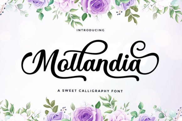Mollandia Font - Featured Image