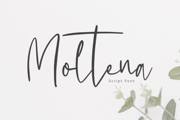 Moltena Font - Featured Image