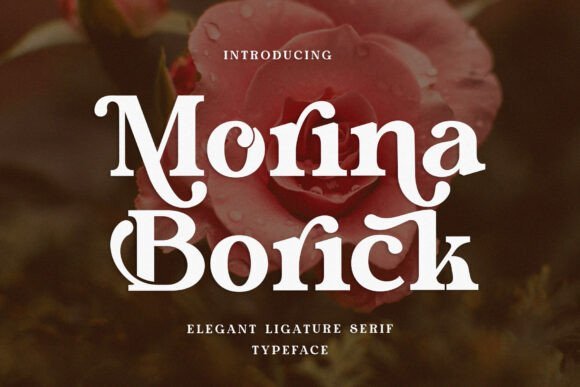 Morina Borick Font Download for Desktop