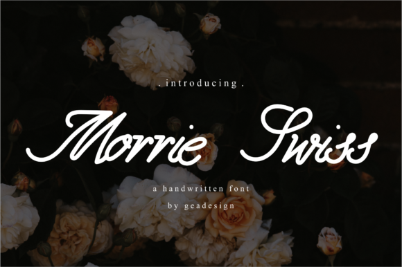 Morrie Swiss Font - Featured Image