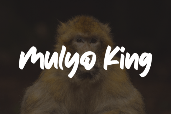 Mulyo King Font - Featured Image