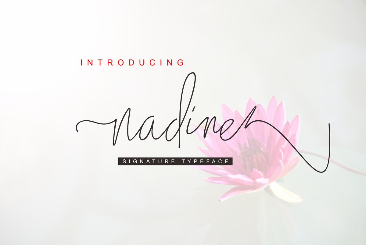 Nadine Script Font - Featured Image