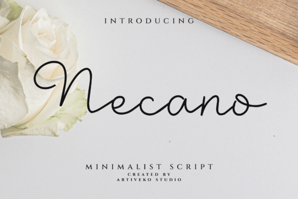 Necano Font - Featured Image
