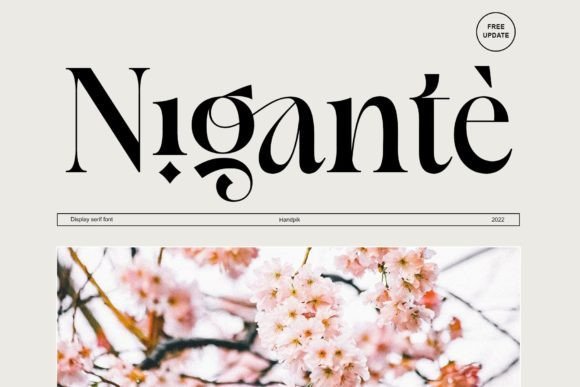 Nigante Font - Featured Image
