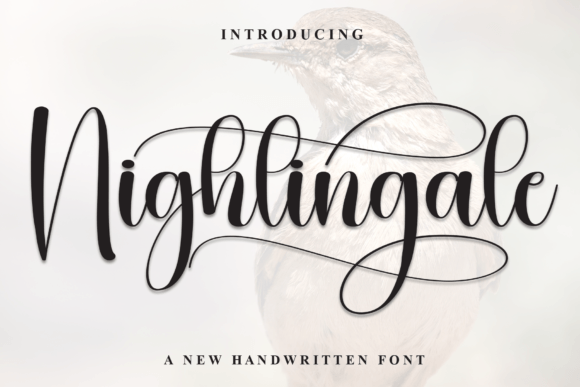 Nightingale Font Download for Desktop