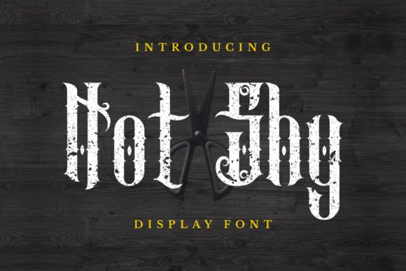 Not Shy Font - Featured Image