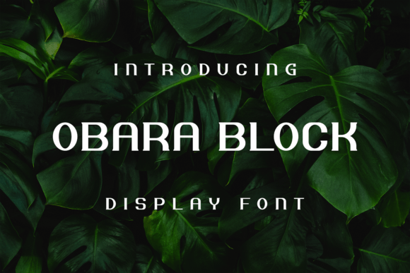Obara Block Font Download for Desktop