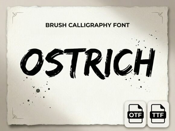 Ostrich Font - Featured Image