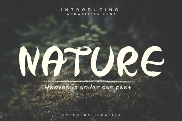 Our Nature Font Download for Desktop