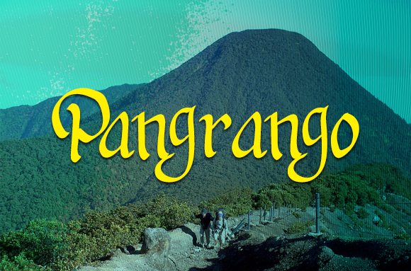 Pangrango Font - Featured Image