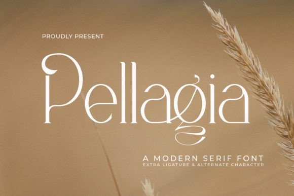 Pellagia Font - Featured Image
