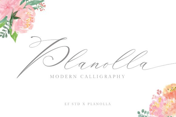 Planolla Font - Featured Image