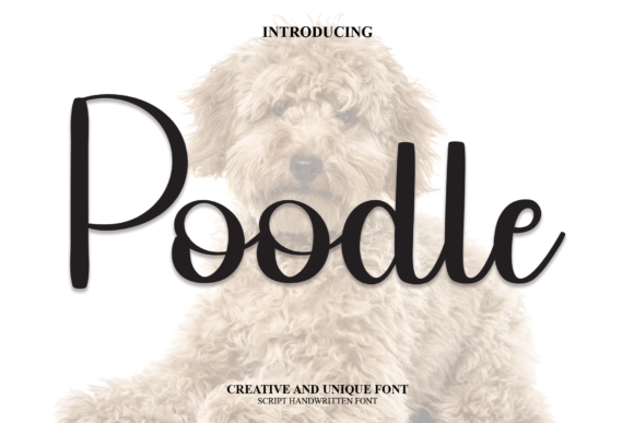 Poodle Font - Featured Image