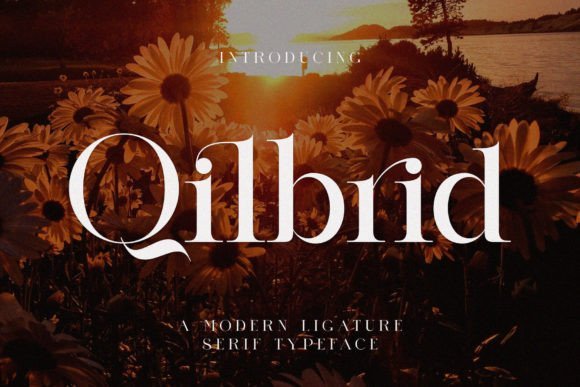 Qilbrid Font - Featured Image