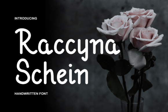 Raccyna Schein Font - Featured Image