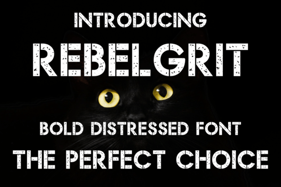 Rebel Grit Font Download for Desktop
