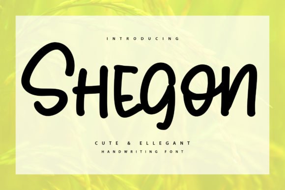 Shegoon Font - Featured Image