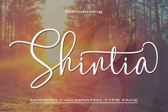 Shintia Font Download for Desktop