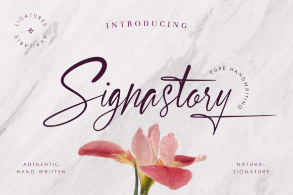 Signastory Font - Featured Image