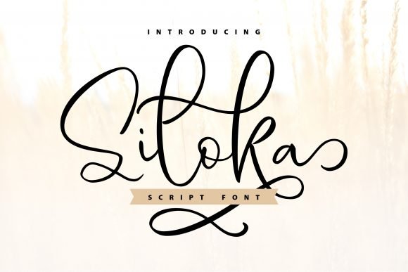 Siloka Font - Featured Image